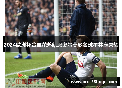 2024欧洲杯金靴花落凯恩奥尔莫多名球星共享荣耀