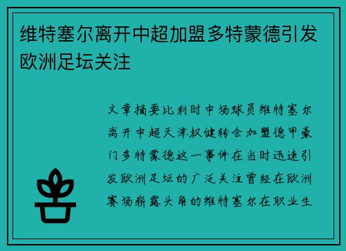 维特塞尔离开中超加盟多特蒙德引发欧洲足坛关注 维特塞尔离开中超加盟多特蒙德引发欧洲足坛关注